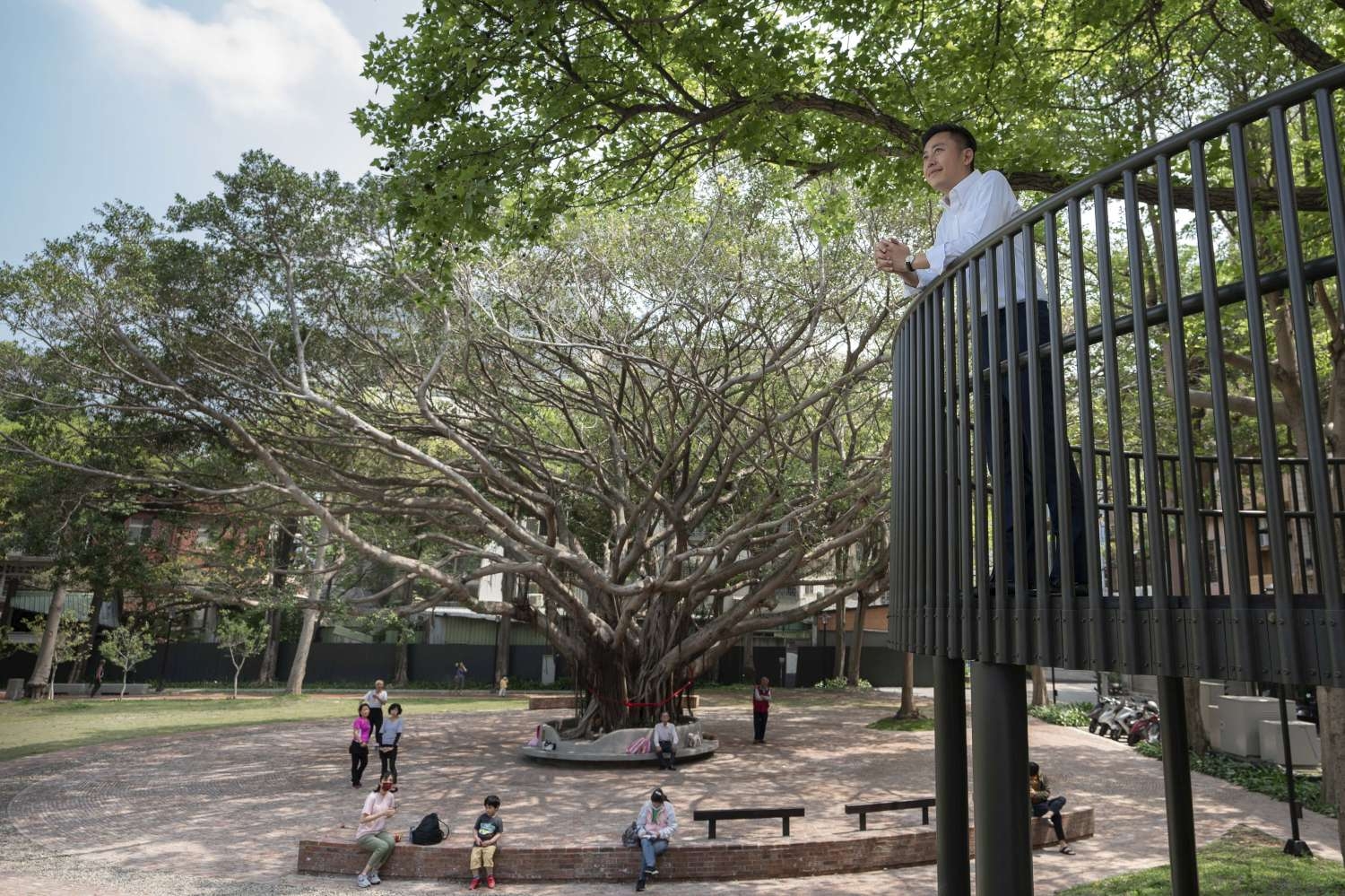 林智堅市長在樹屋平臺上，瞭望著整個長和公園的綠意與美感