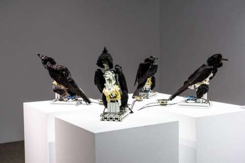 241藝術空間展區藝術家張碩尹作品《南冥有鳥，其名為鵬》