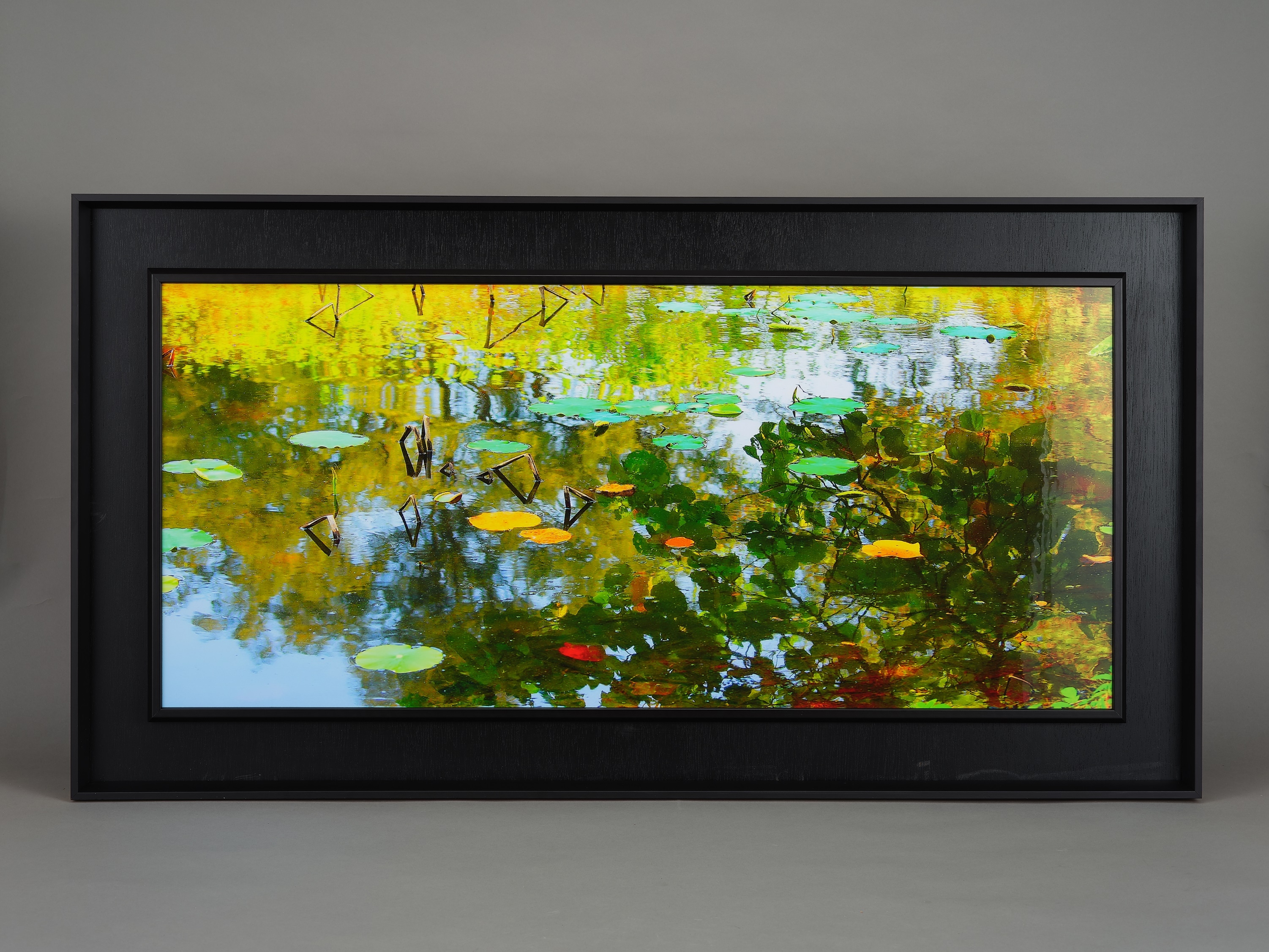 這幅拍攝秋天荷池倒影的作品，聚焦於水池上漂浮的荷葉，與水中的倒影形成一明一暗的顏色對比，使畫面帶有某種抽象造型的元素。